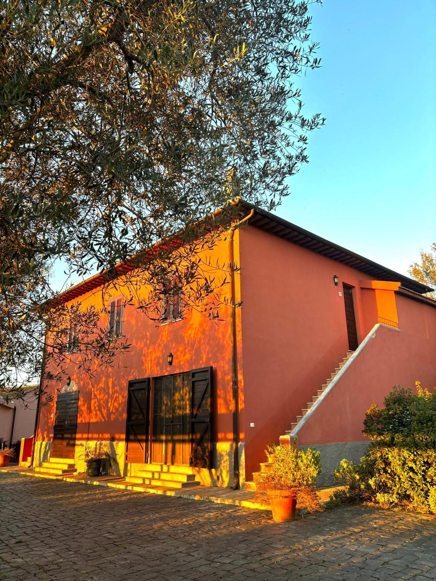 Tenuta Saracone Montalto di Castro Exteriör bild
