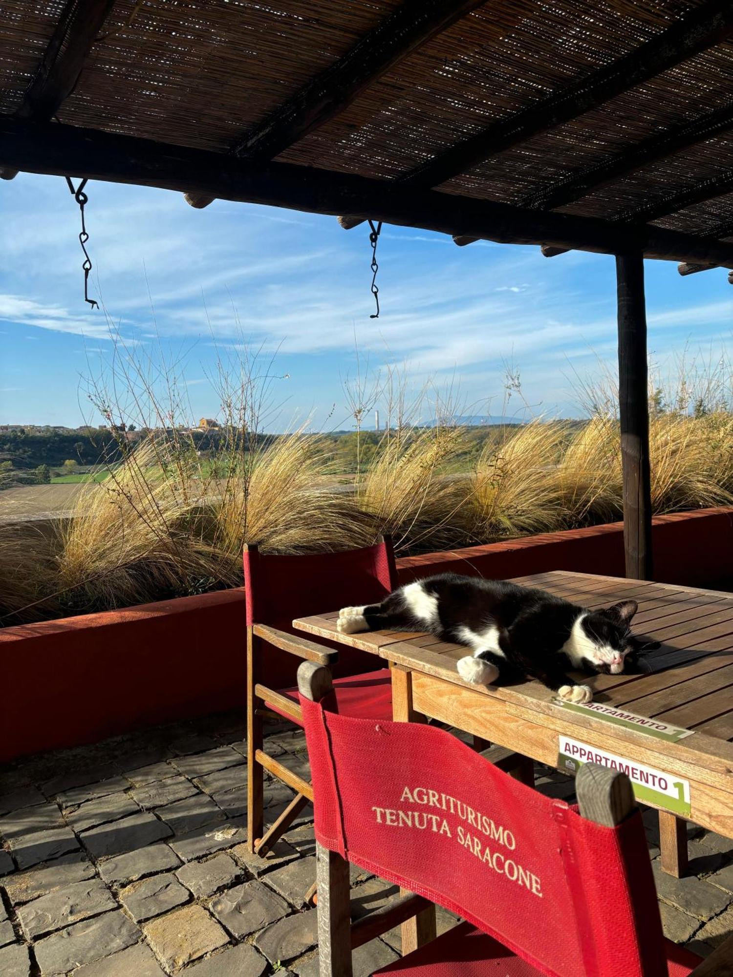 Tenuta Saracone Montalto di Castro Exteriör bild