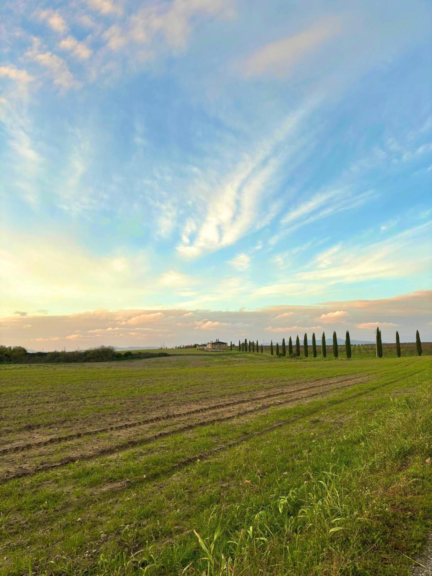 Tenuta Saracone Montalto di Castro Exteriör bild