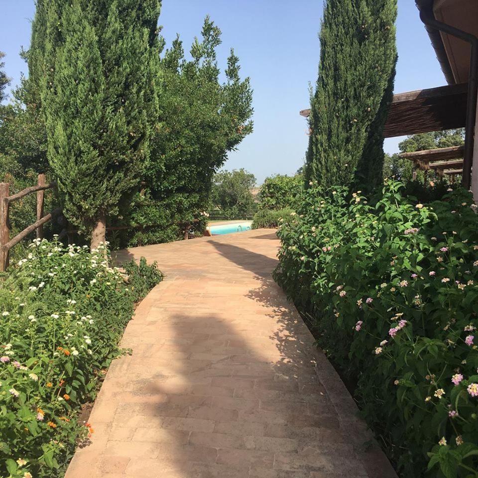 Tenuta Saracone Montalto di Castro Exteriör bild